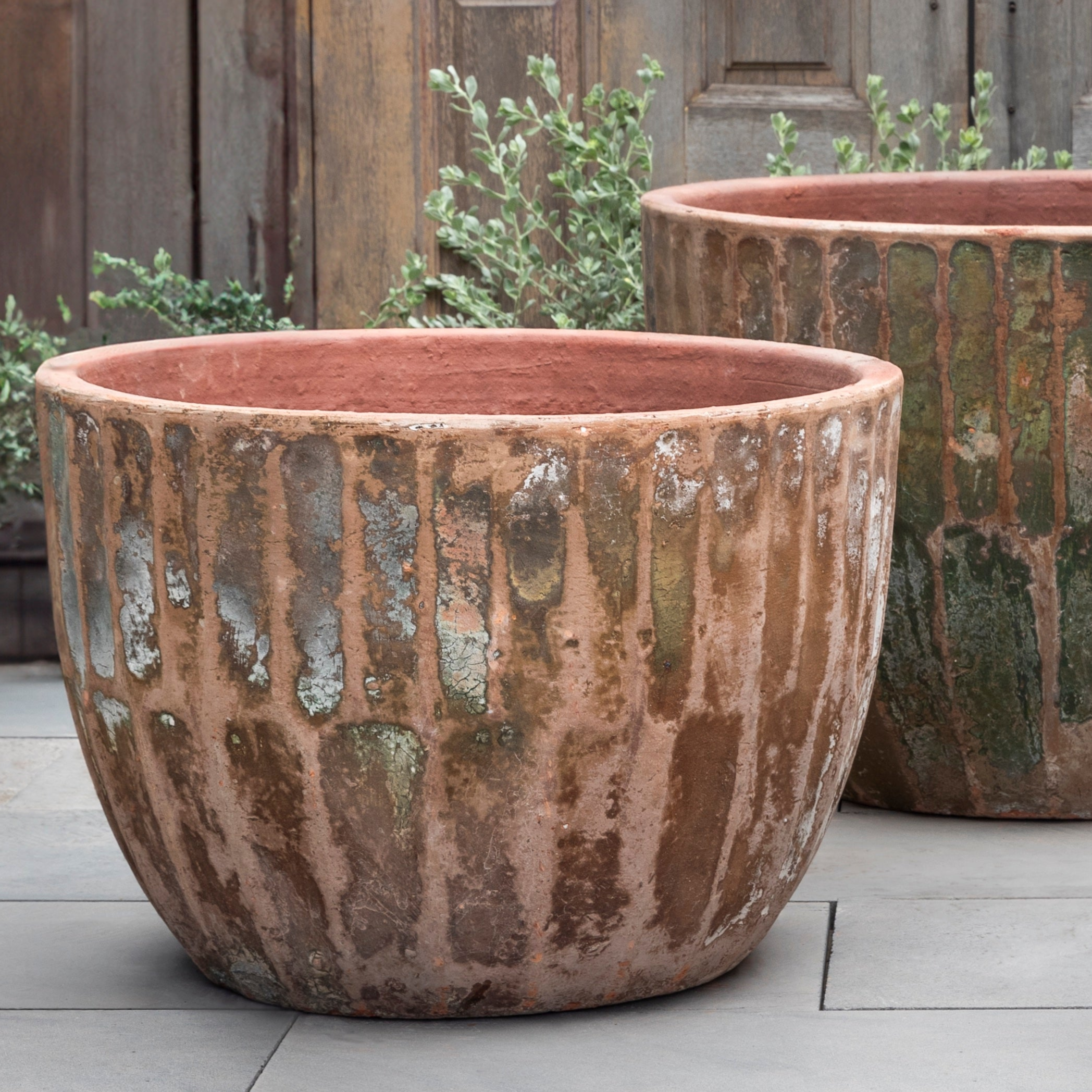 SRL BRIMTYPE PLANT POT-M valiem カタチ製作所 SRL BRIMTYPE PLANT