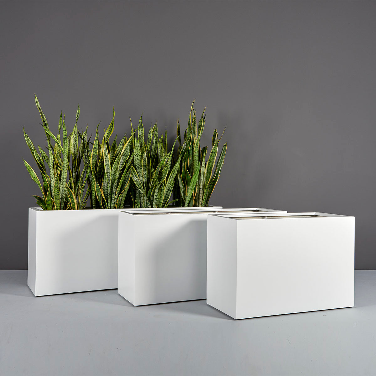 Tolga Rectangular Planter – Birdsall & Co