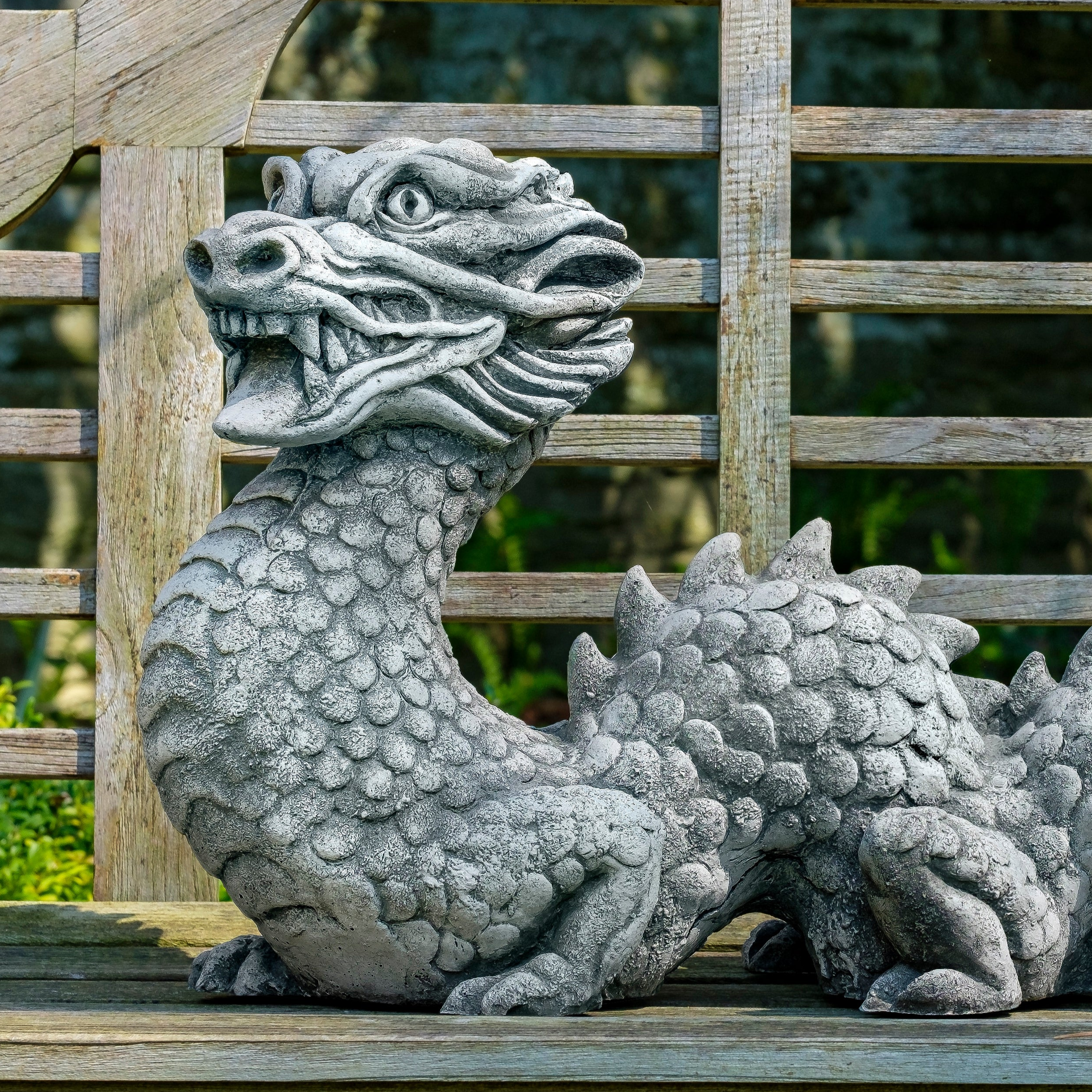 新品 未使用品　DRAGON D1 OTG CLASSIC Festival Dragon by Campania International – Birdsall & Co.