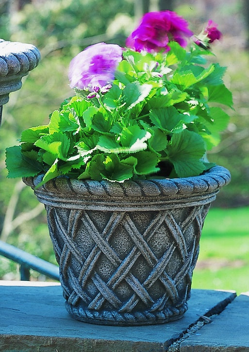 english garden planter Campania International English Weave Planter (Small)