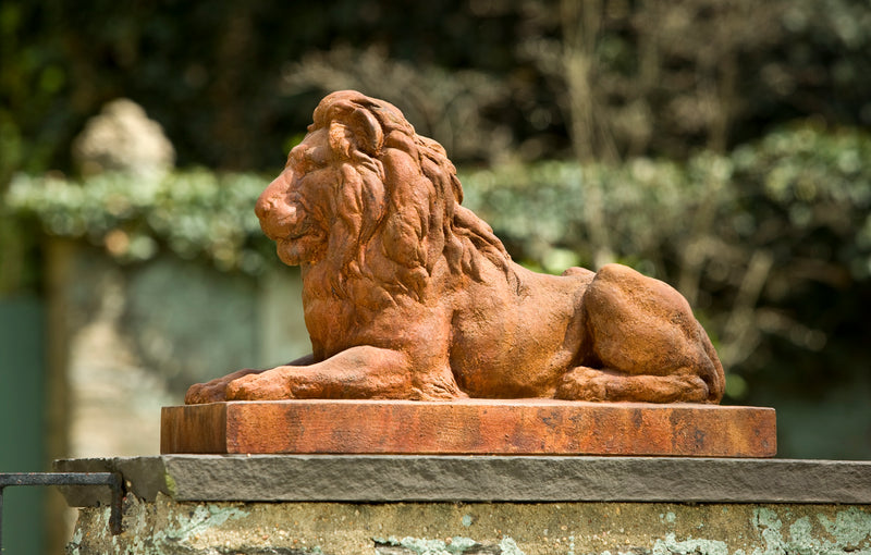 Classic Lion by Campania International