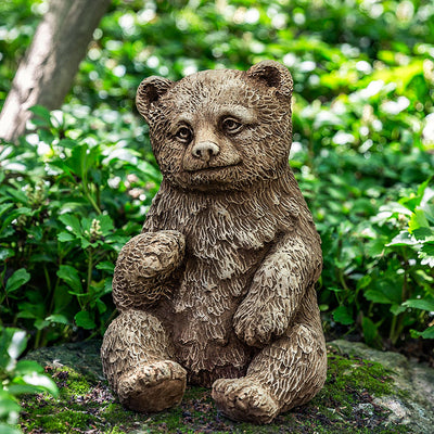 Brown bear cub sitting on a rock facing forward