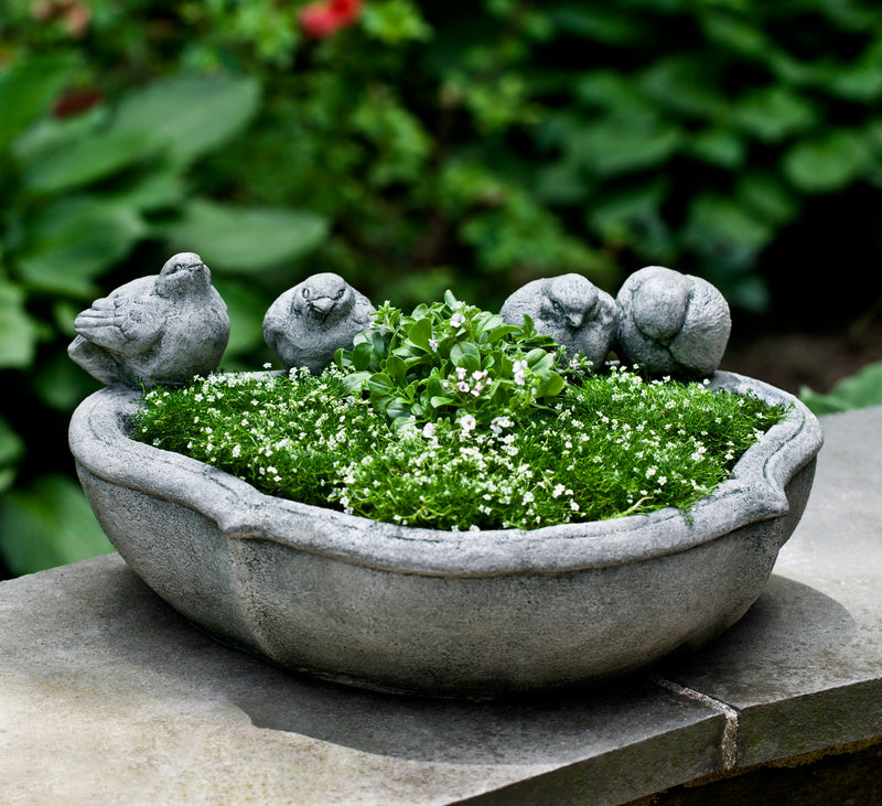 Decorative shallow concrete container with 4 bird statues perched on the back, full of green plants and white flowers
