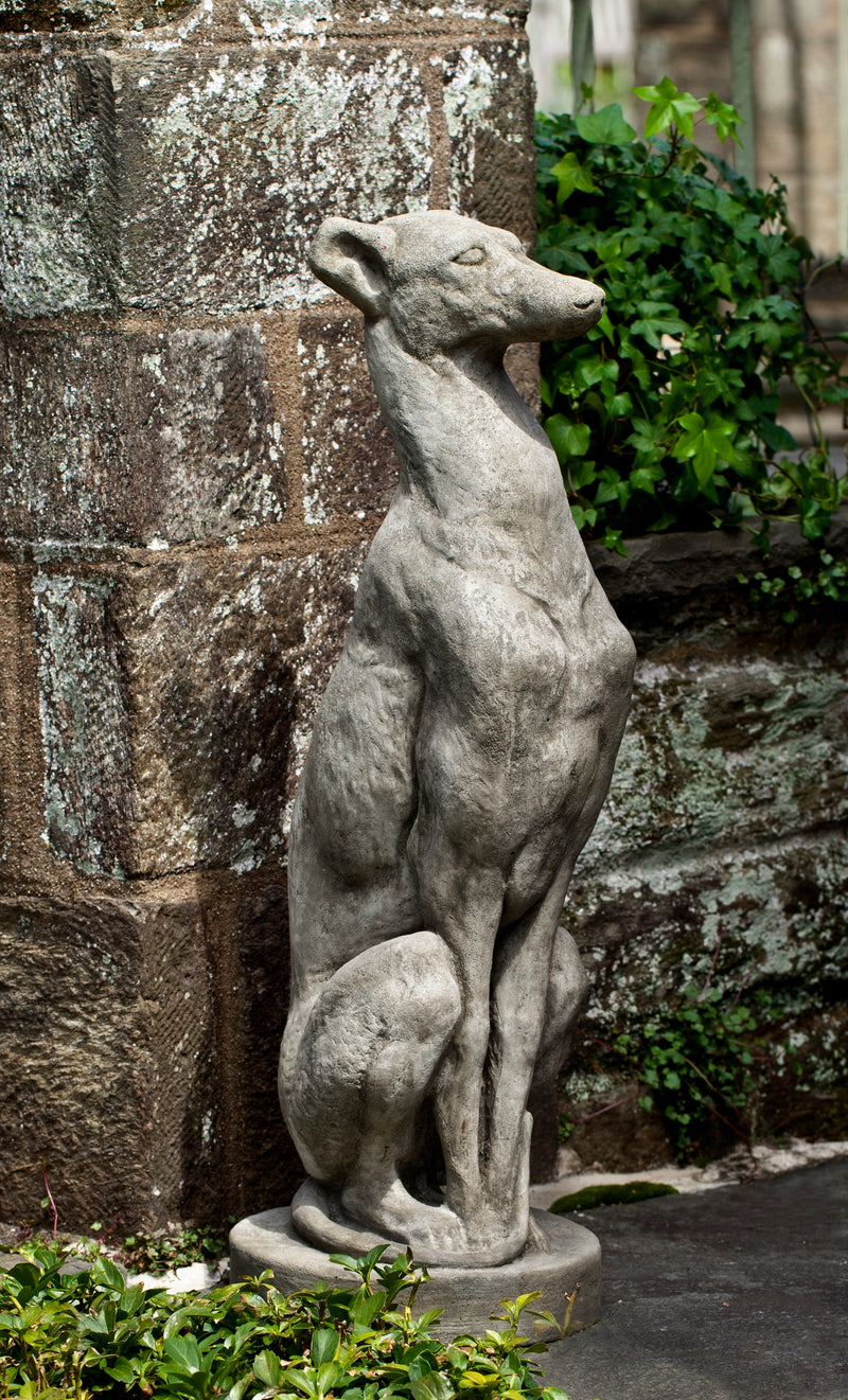 Greyhound sitting up against a stone wall