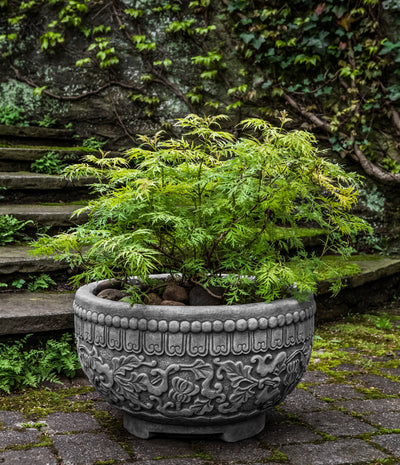 India-Inspired container planted with a small tree