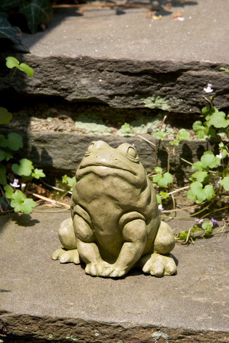 Little green frog sitting on steps
