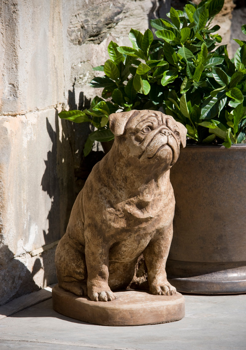 Sitting brown dog on plinth