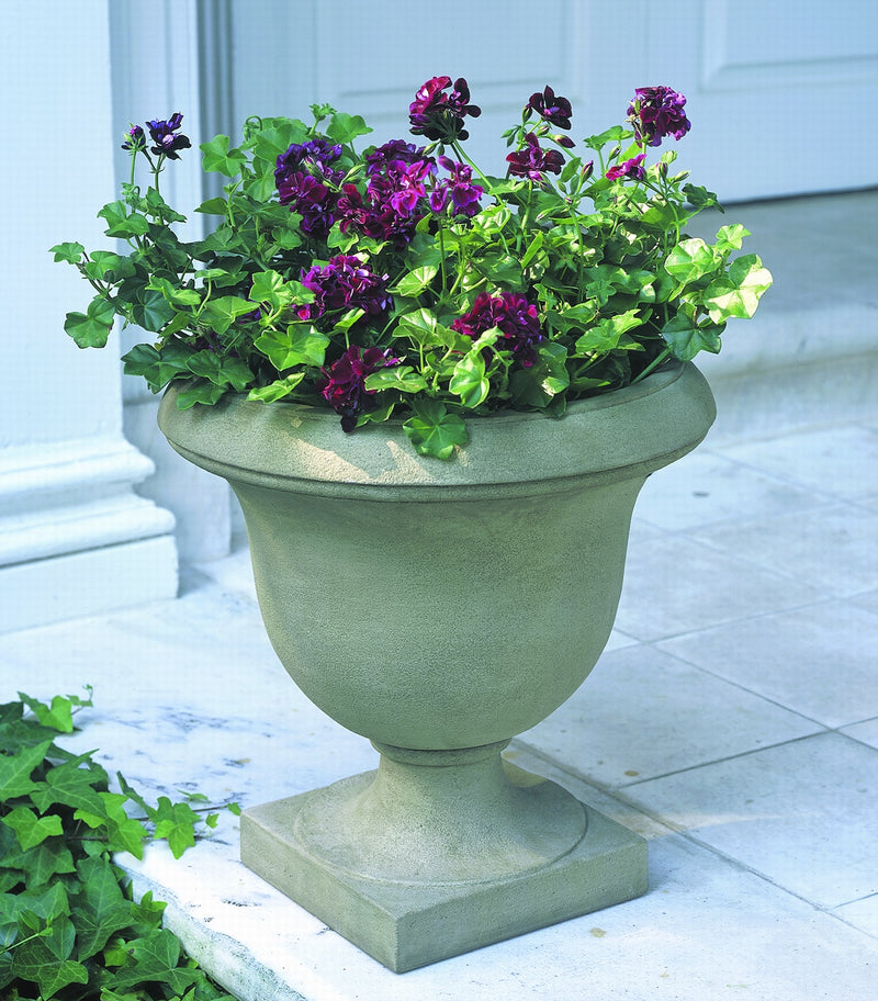 Classic urn planted with purple geraniums