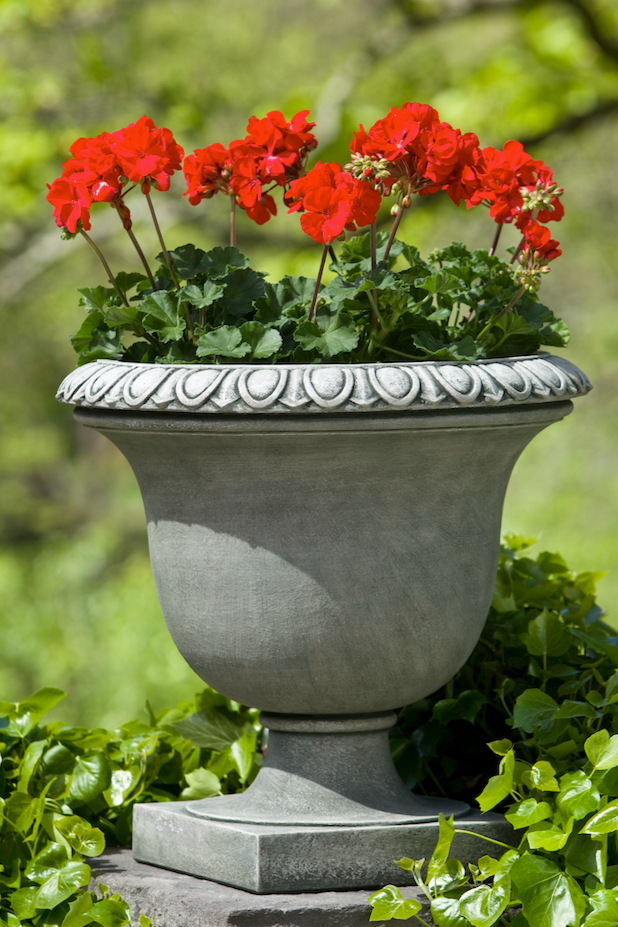 Litchfield Egg & Dart Urn by Campania International – Birdsall & Co.
