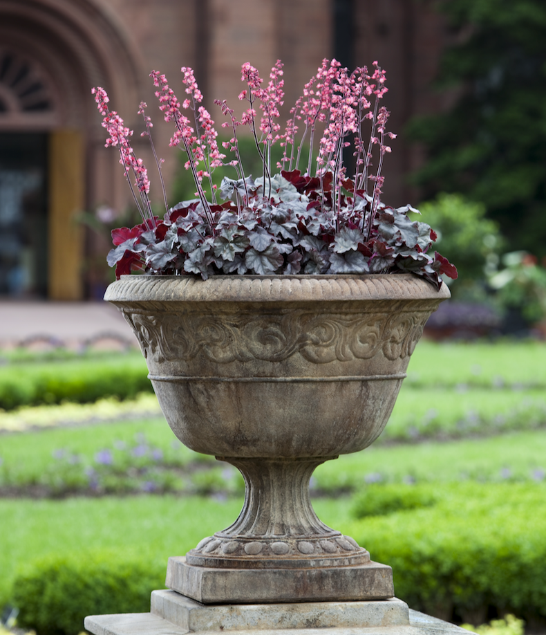 Smithsonian Foliated Scroll Urn by Campania International  Birdsall & Co.