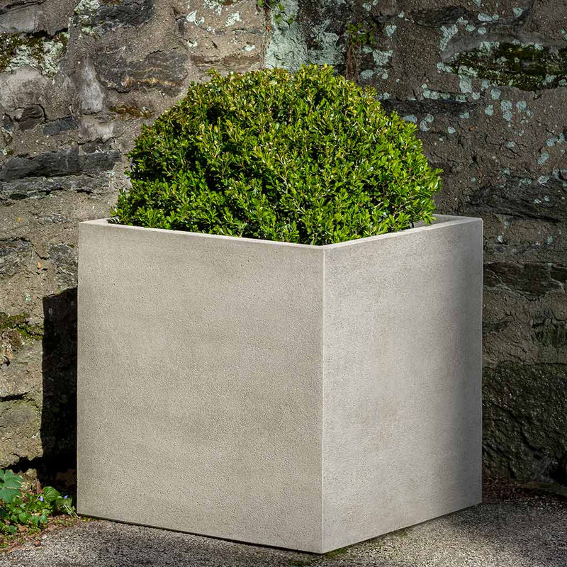 Cube Planter Medium by Campania International