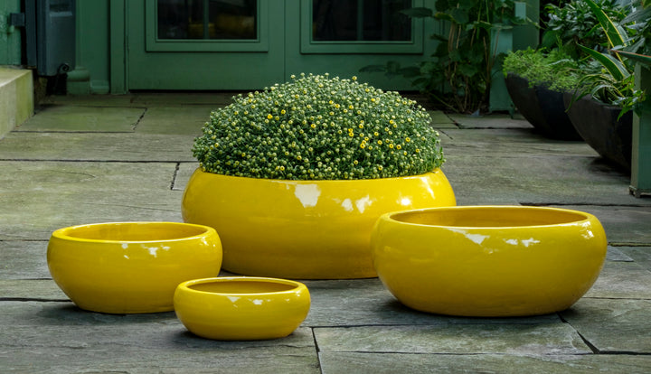 yellow outdoor plant pot Campania Sasha Planter, Set of 4 - 1002-22504