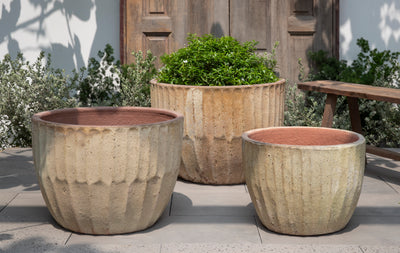 Velia Planter - Set of 3 by Campania International