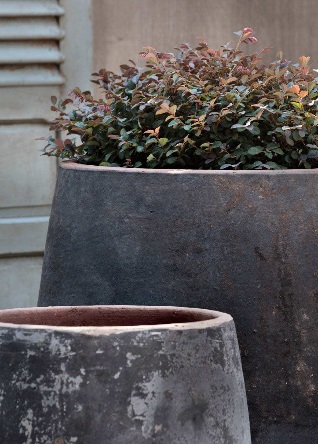 Otranto Planter - Set of 3 by Campania International – Birdsall & Co.