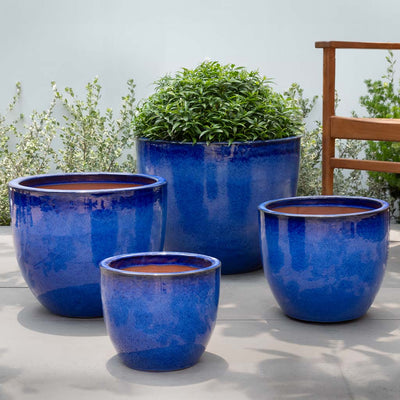 Cora Planter - Set of 4 by Campania International