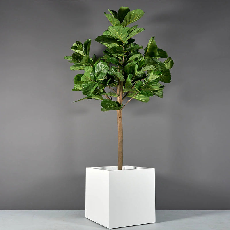 Montroy Cube Planter