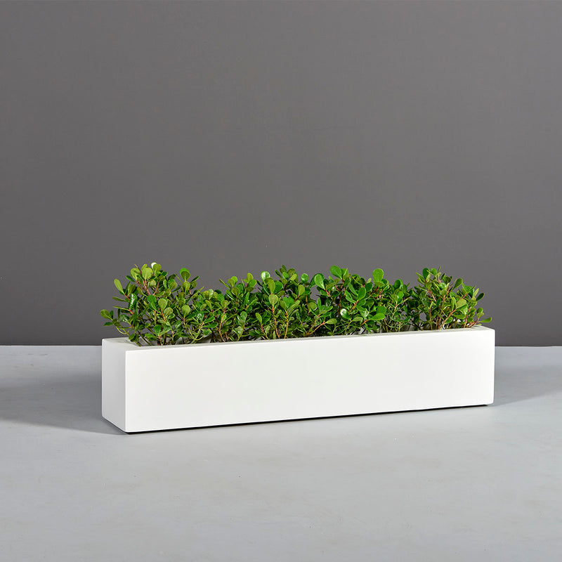 Salon Narrow Low Rectangular Planter