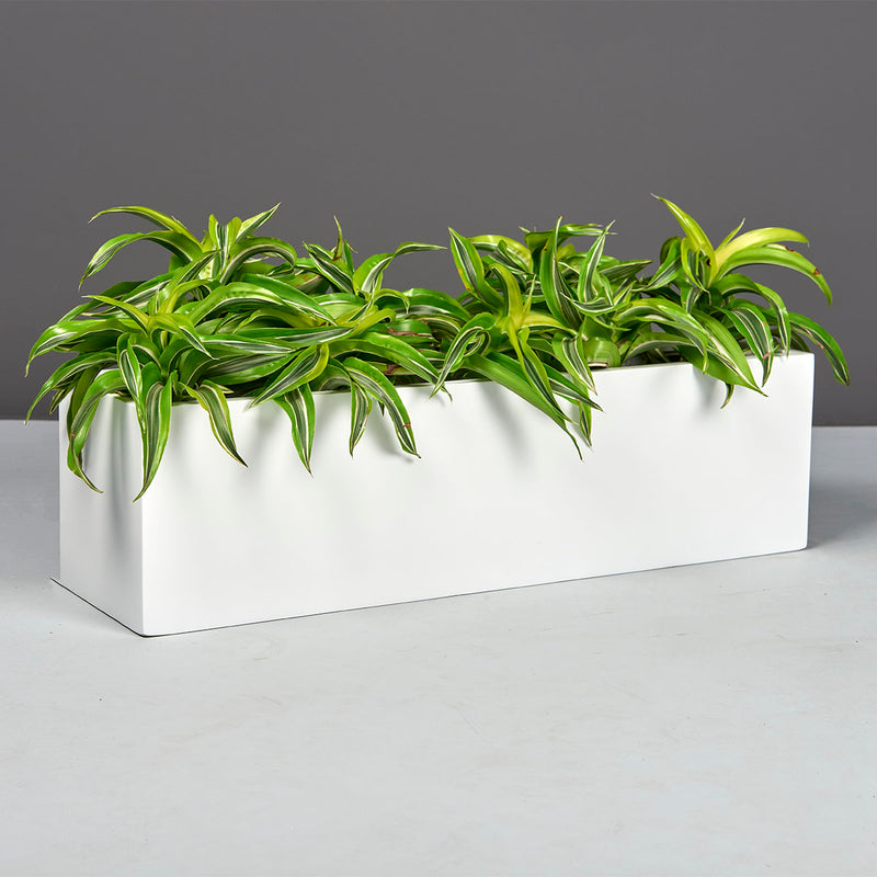 Weir Rectangular Tabletop Planter