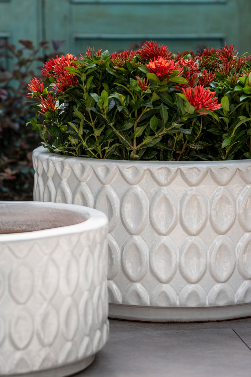 Oriel Low Planter - Set of 3 by Campania International