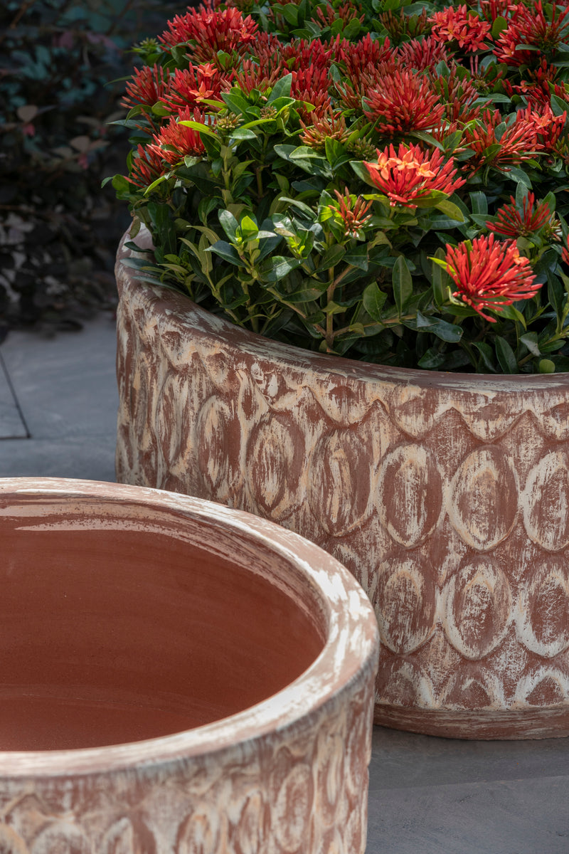 Oriel Low Planter - Set of 3 by Campania International