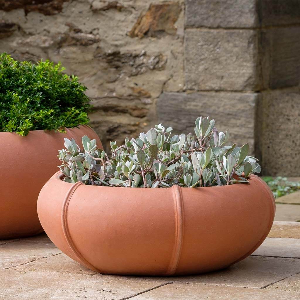 low planter pots Rib Vault Planter Set of 2, Low Campania International, Tropical Red