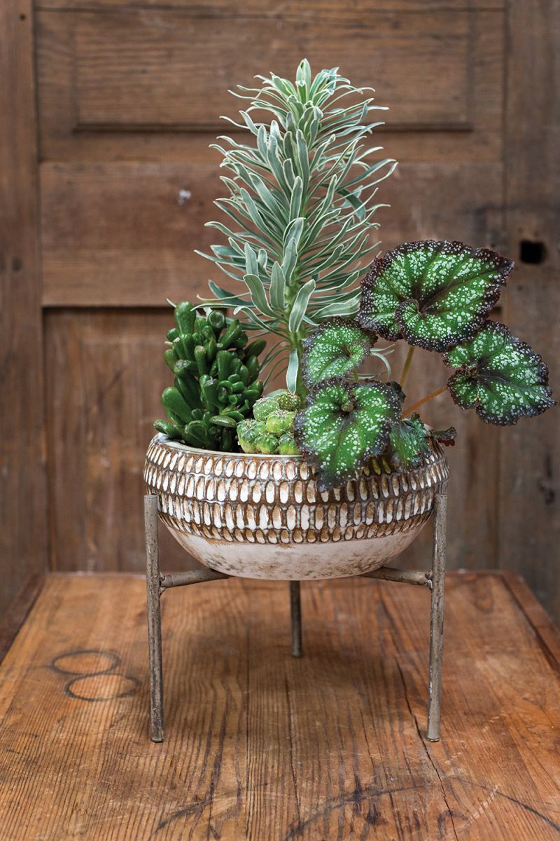 Xander Plant Stand