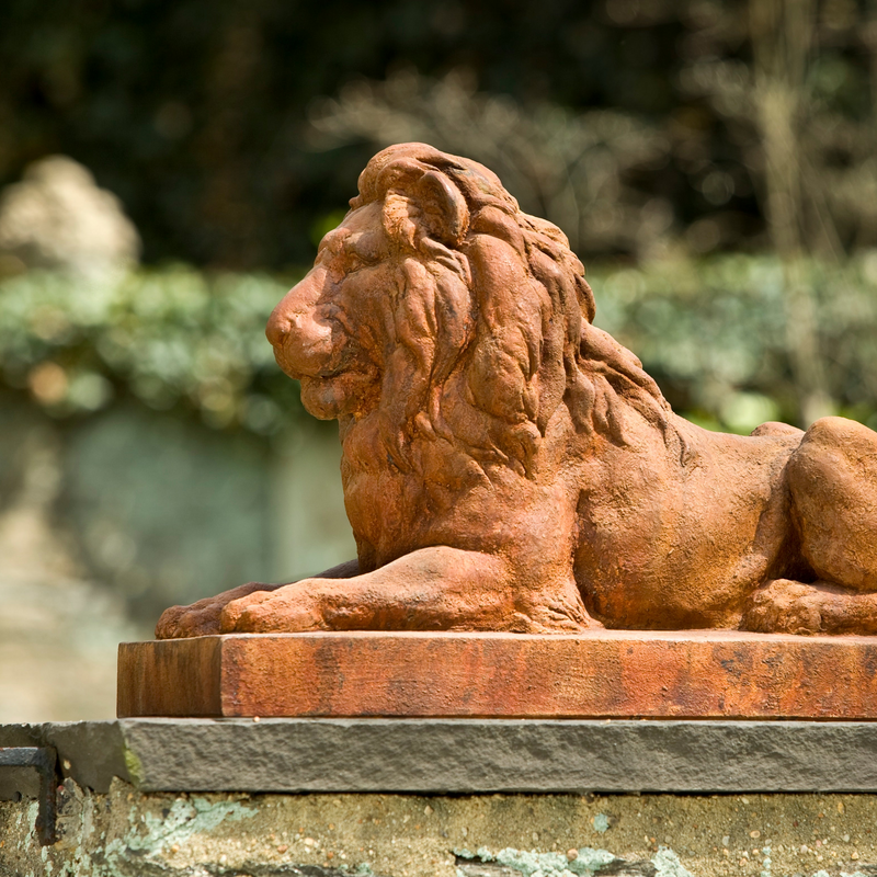 Classic Lion by Campania International