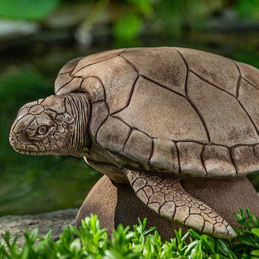 Large Sea Turtle by Campania International