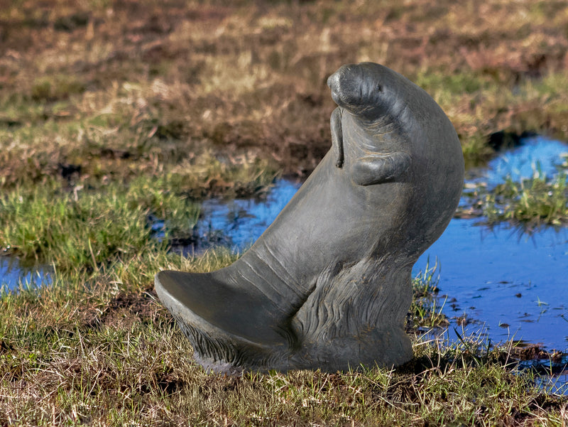 Manatee by Campania International
