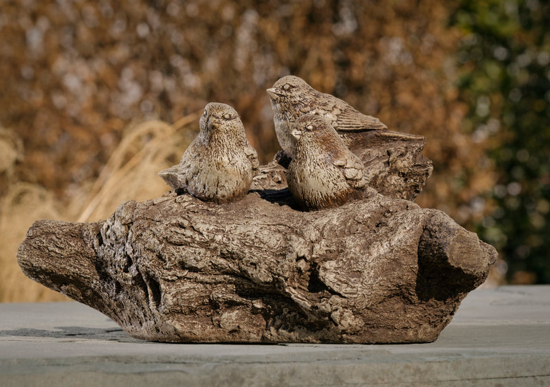 Birdland by Campania International