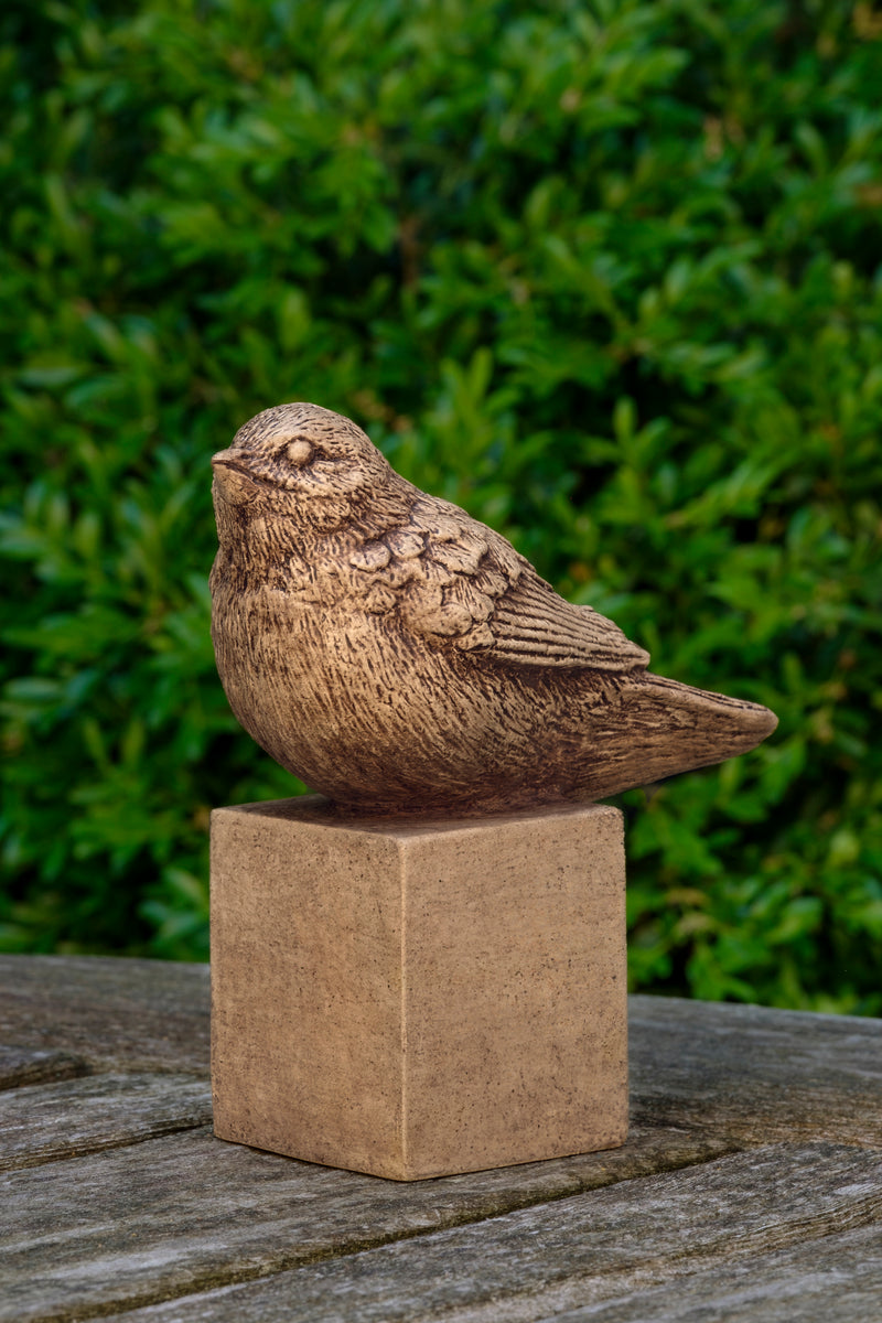Chirp by Campania International