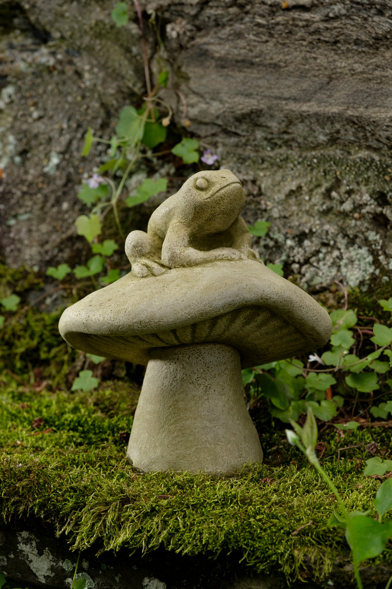 Fun Guy Frog by Campania International