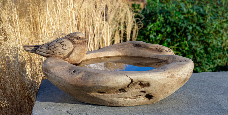 Robin(son) Crusoe Birdbath by Campania International