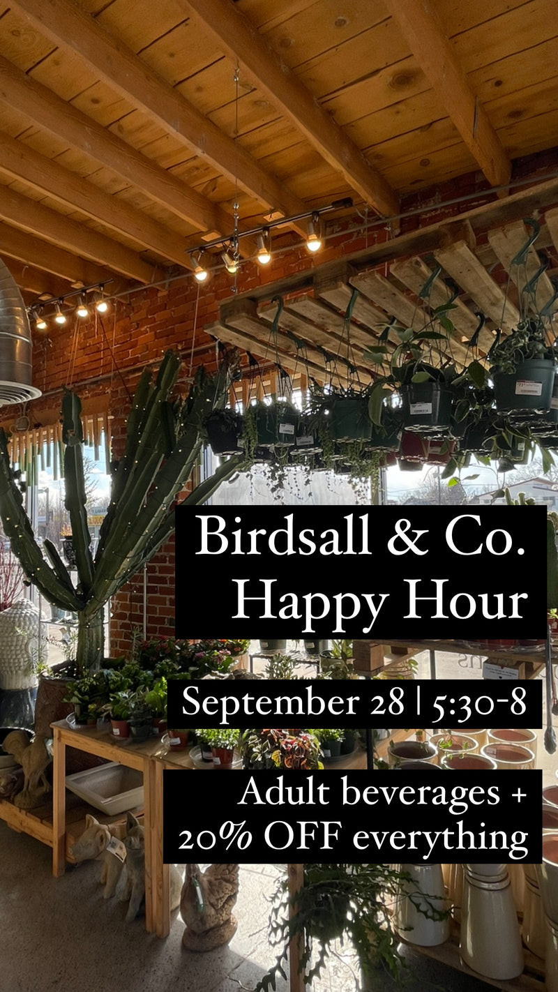 Birdsall & Co. Happy Hour