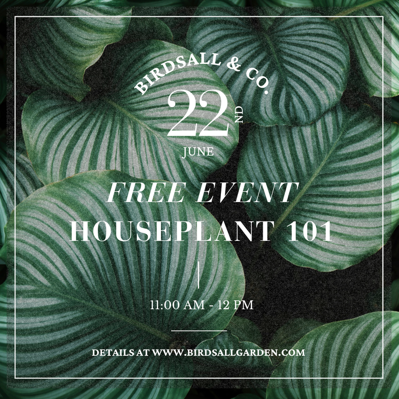 FREE EVENT: Houseplant 101