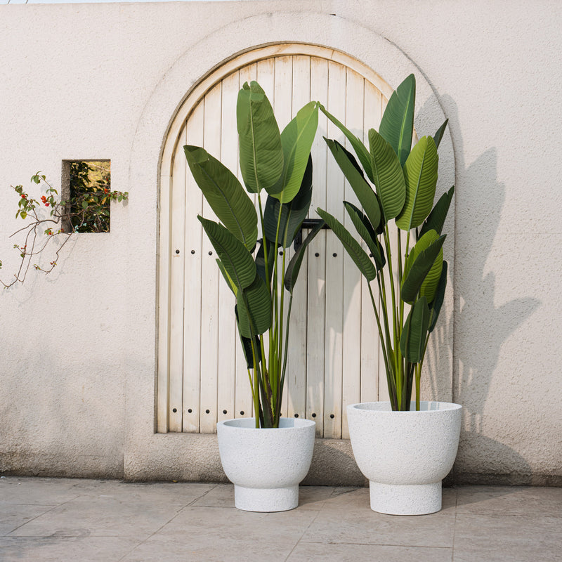 Mortar Planter - Indoor Only