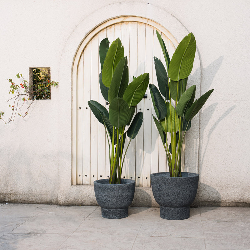 Mortar Planter - Indoor Only