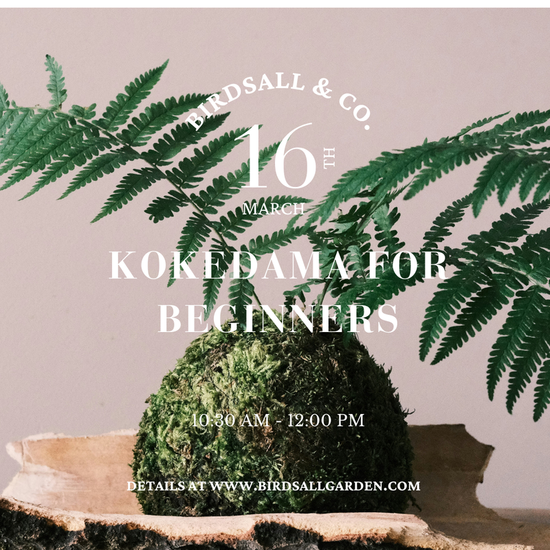 Kokedama Workshop