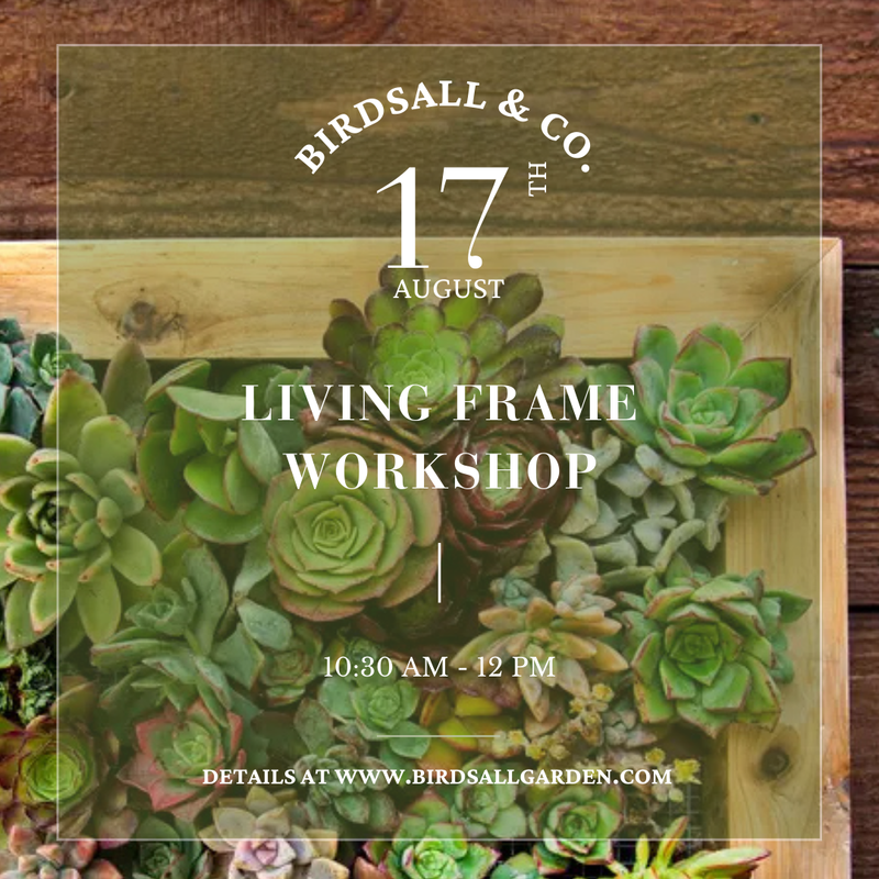 Living Frame Workshop