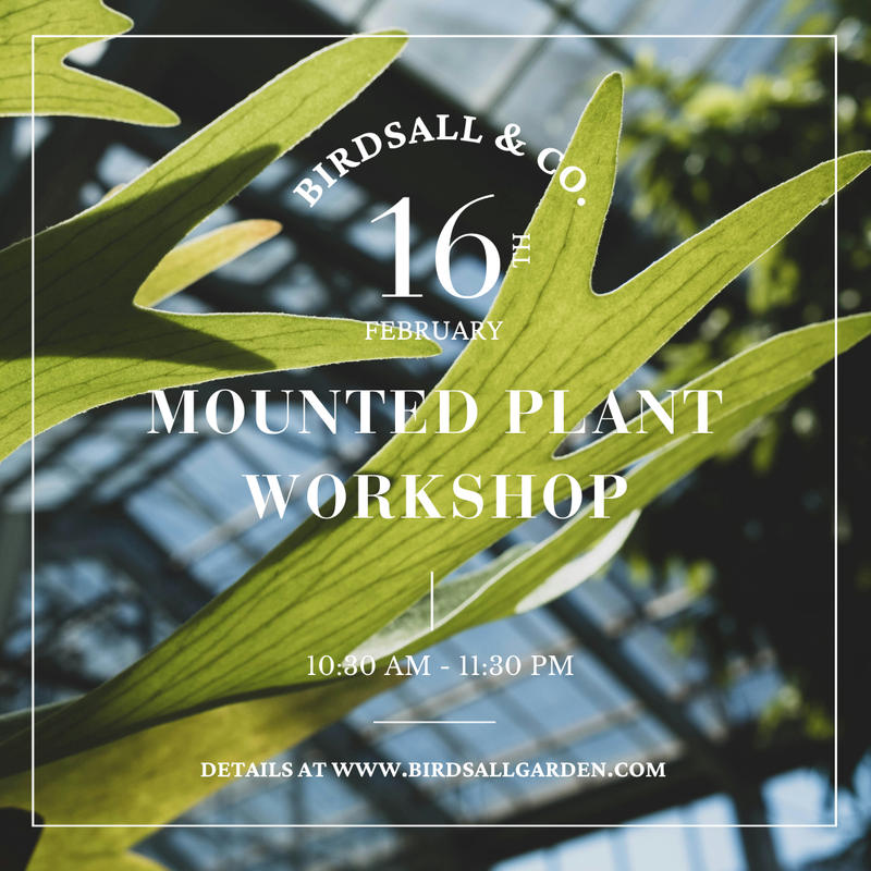 Mounted Plant Workshop