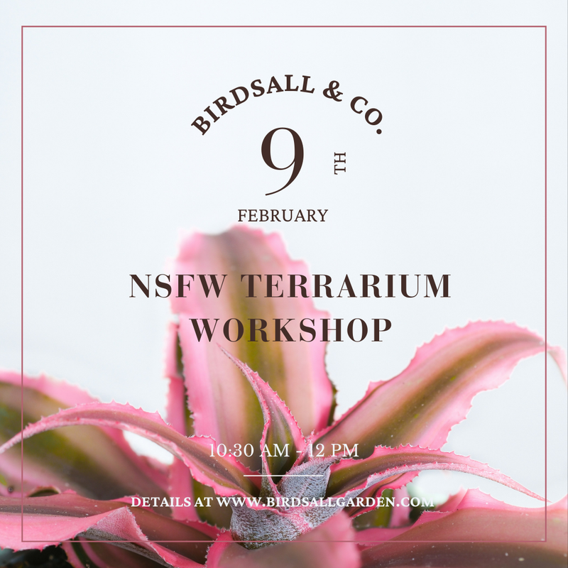 NSFW Terrarium Workshop