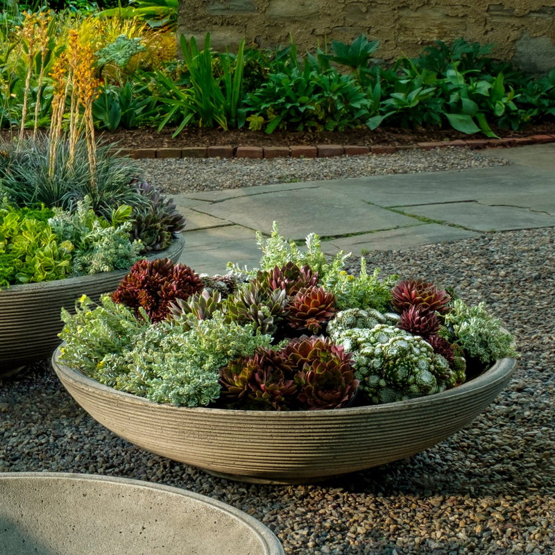Enso Medium Bowl by Campania International