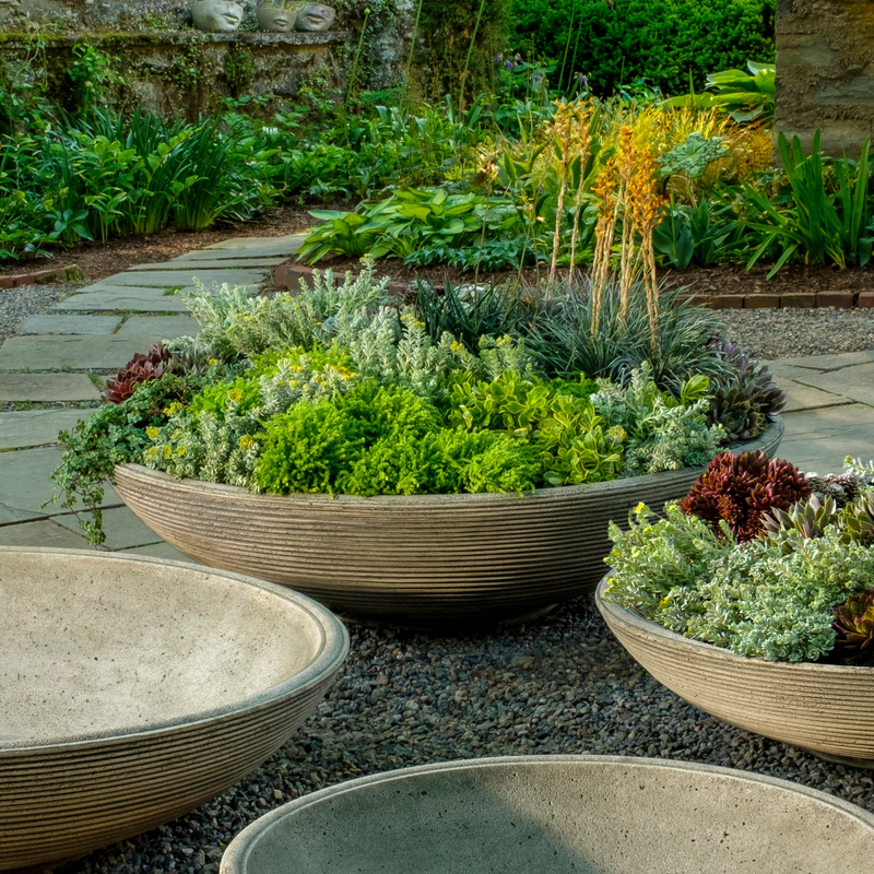 Enso Extra Large Bowl by Campania International