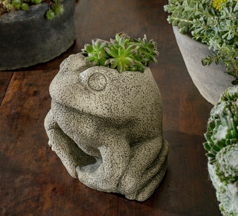 Stone Frog Planter by Campania International