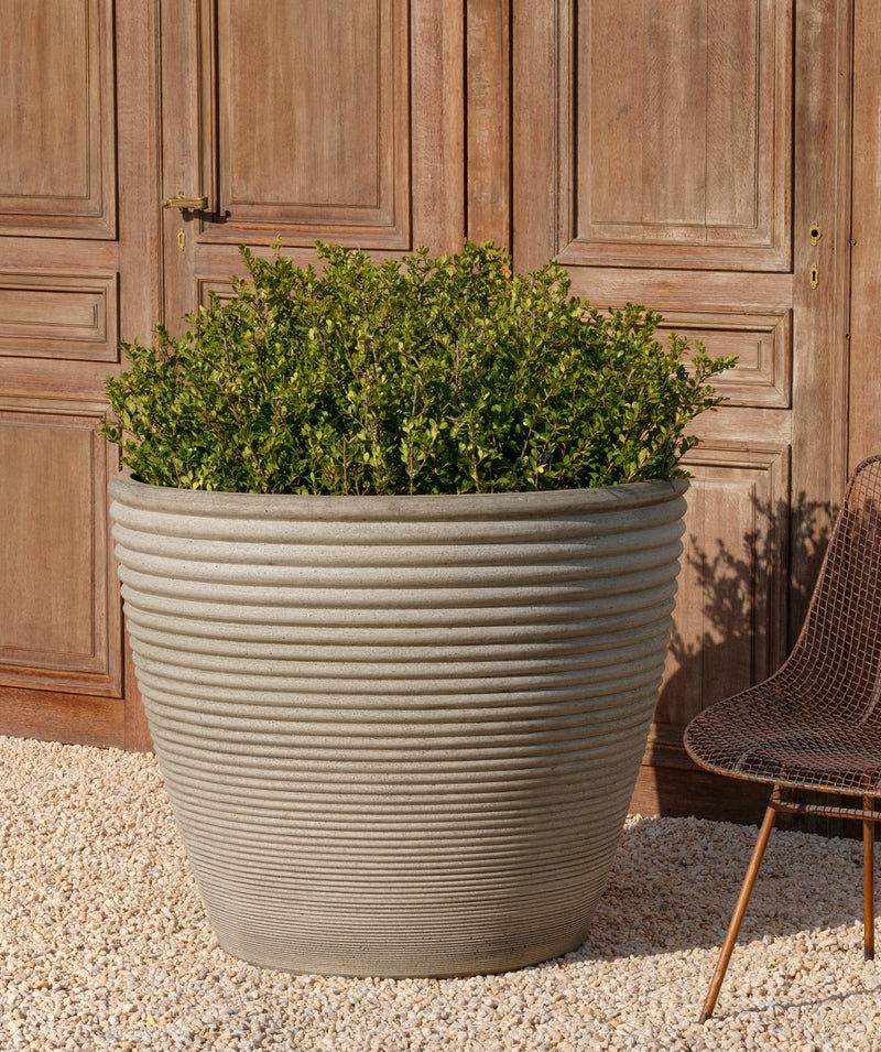 Bibendum Low Large Planter by Campania International
