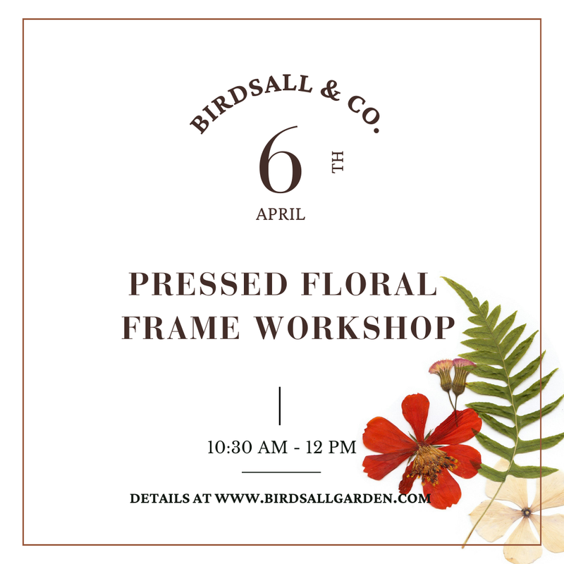 Pressed Floral Frame Workshop
