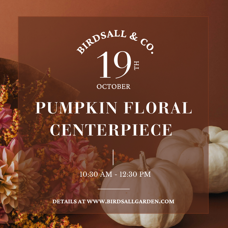 Pumpkin Floral Centerpiece - KID FRIENDLY!
