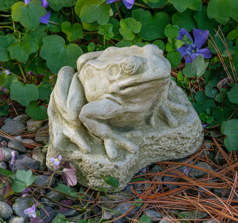 Forest Frog by Campania International