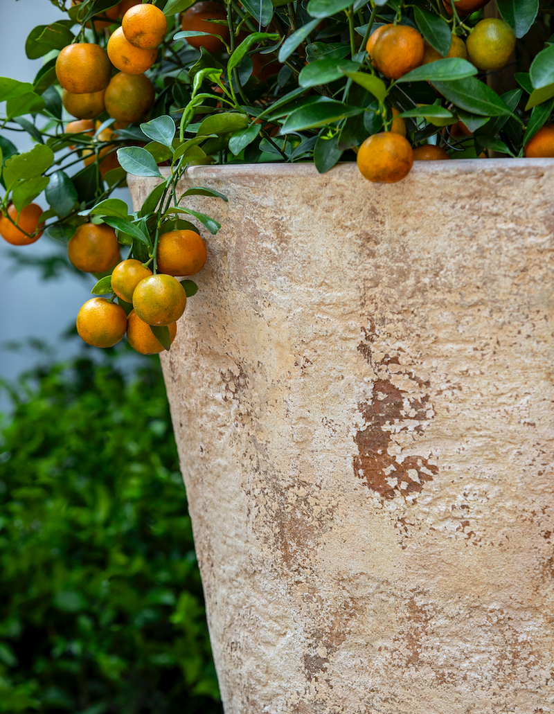Catena Planter - Set of 2 by Campania International