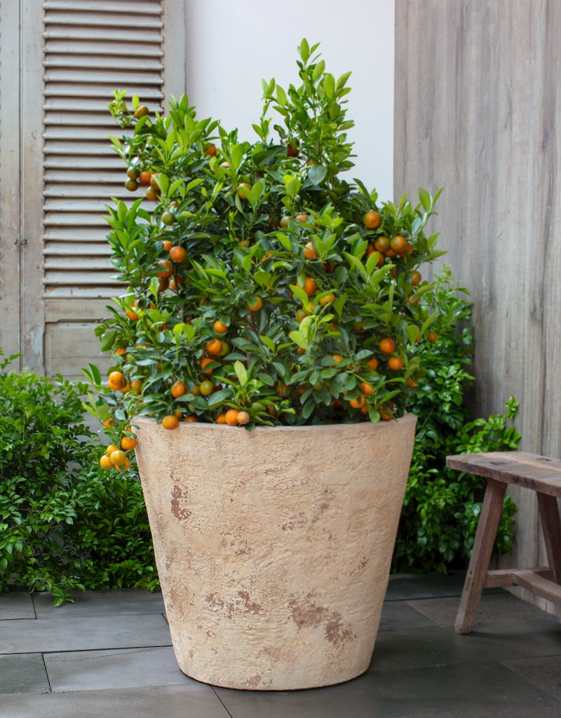 Catena Planter - Set of 2 by Campania International